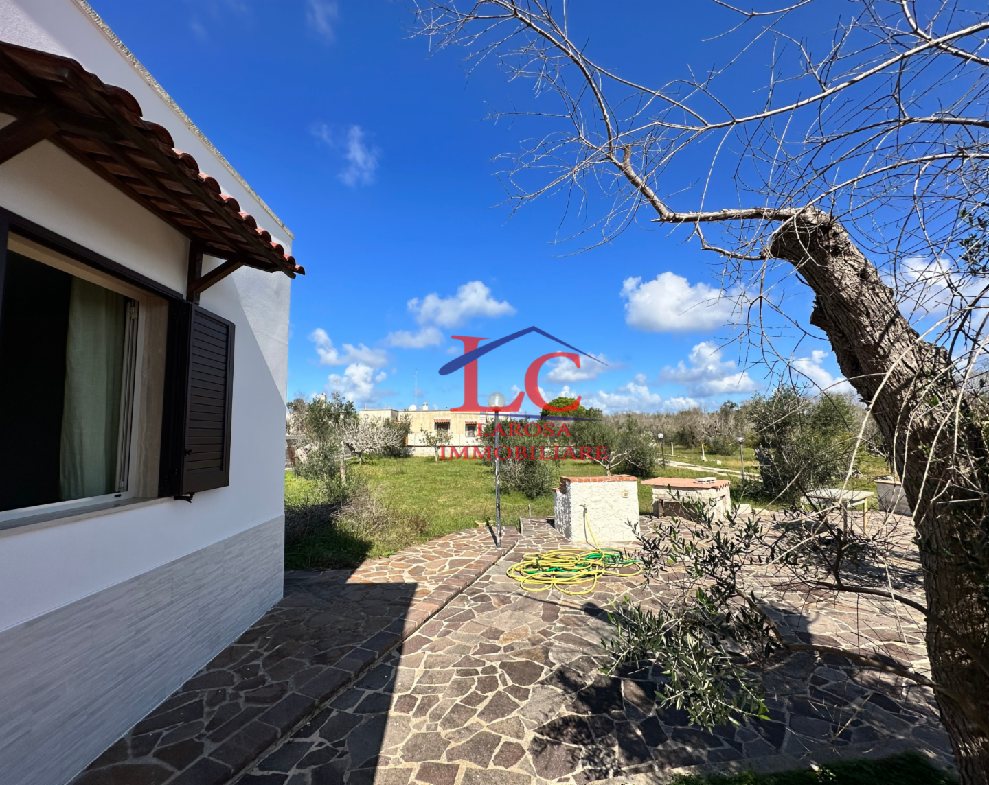 immagine annuncio 2 di 10