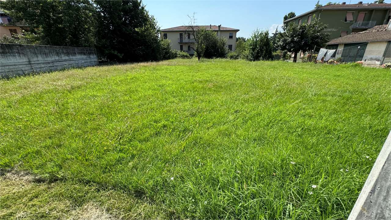 immagine annuncio 4 di 8