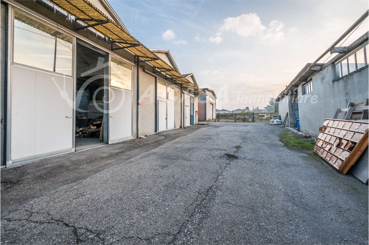 immagine annuncio 4 di 8