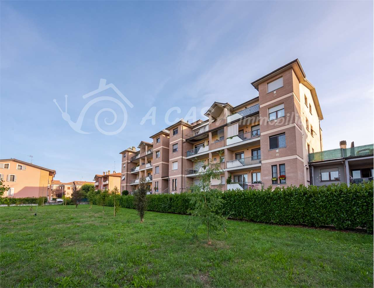 immagine annuncio 1 di 10