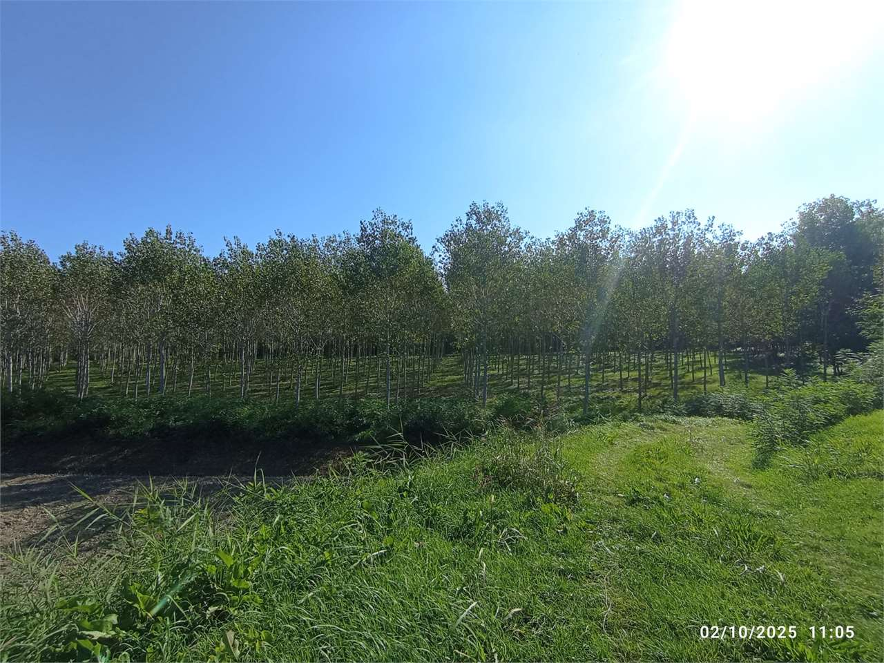 immagine annuncio 1 di 4