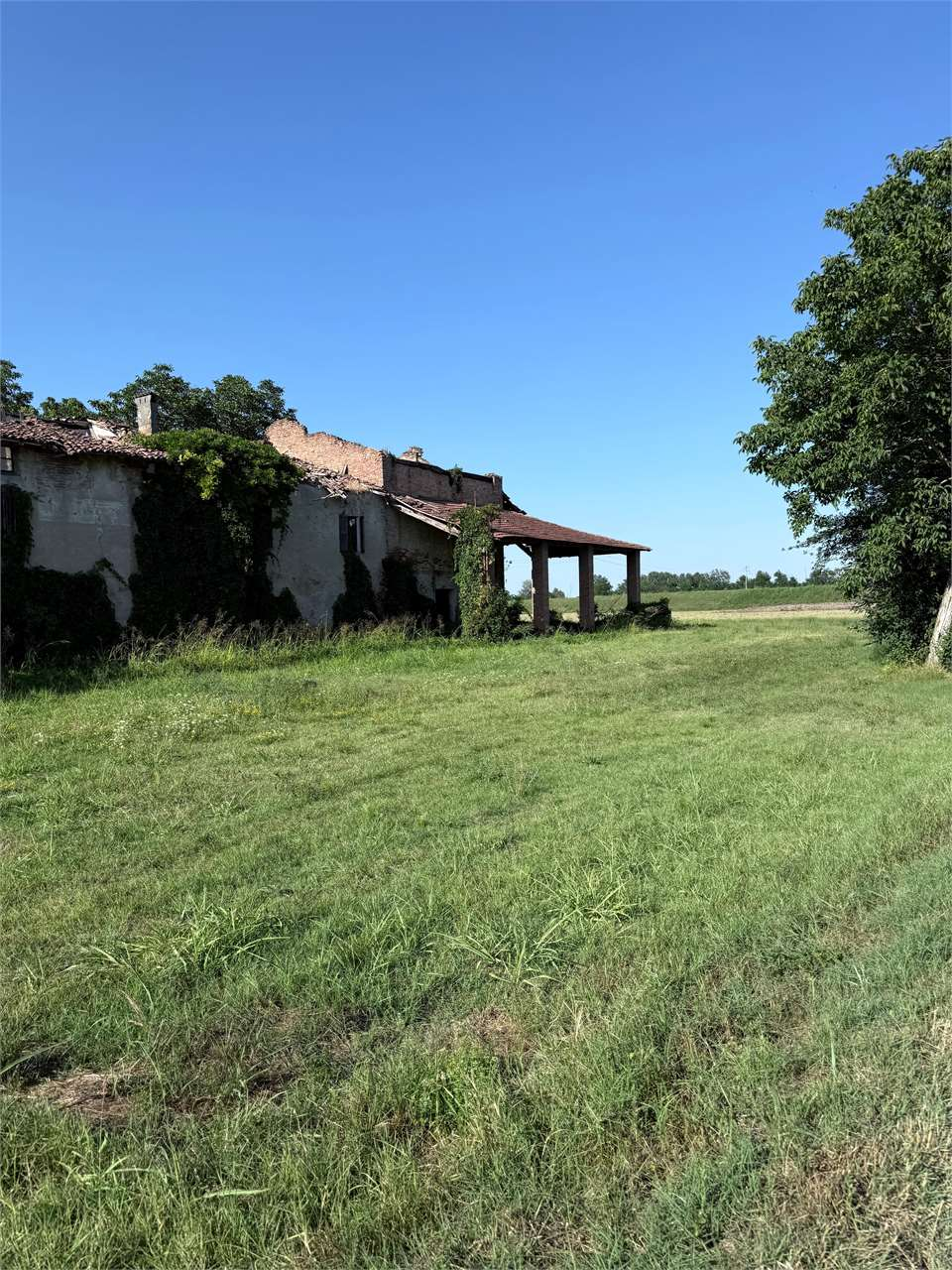 immagine annuncio 3 di 6