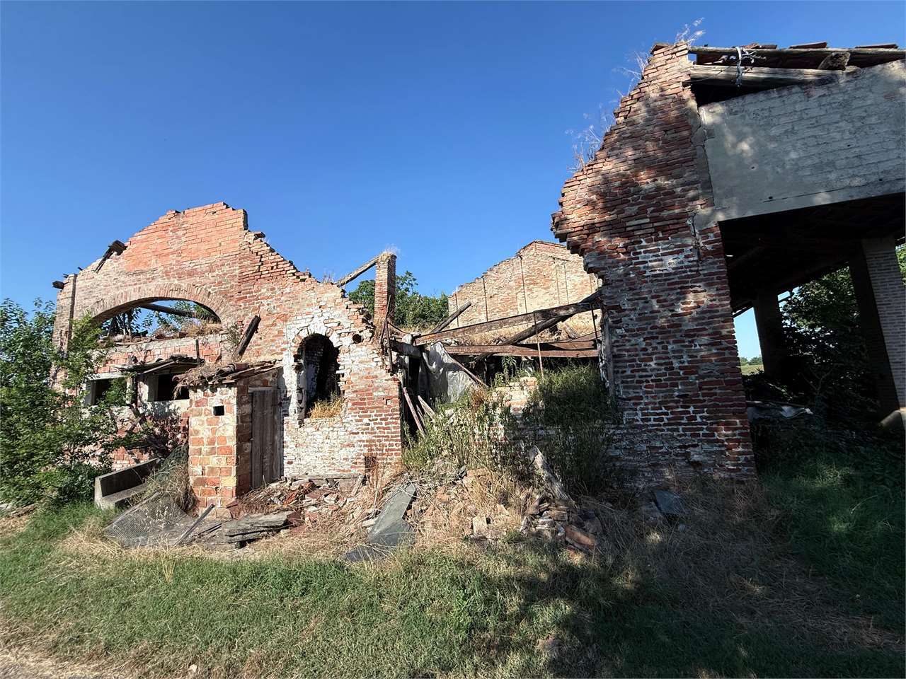 immagine annuncio 5 di 6