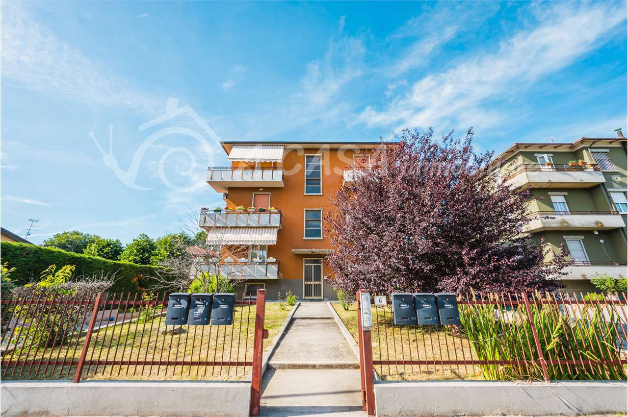 immagine annuncio 1 di 10