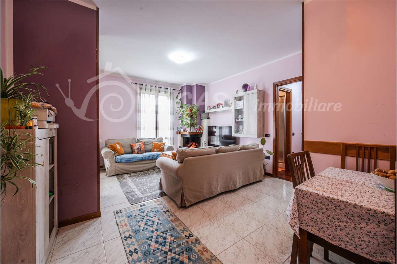 immagine annuncio 4 di 10