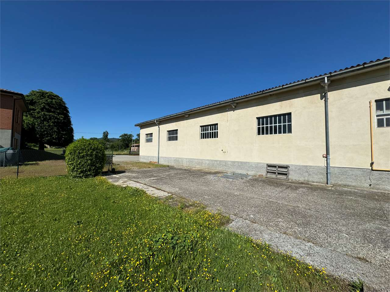 immagine annuncio 9 di 10