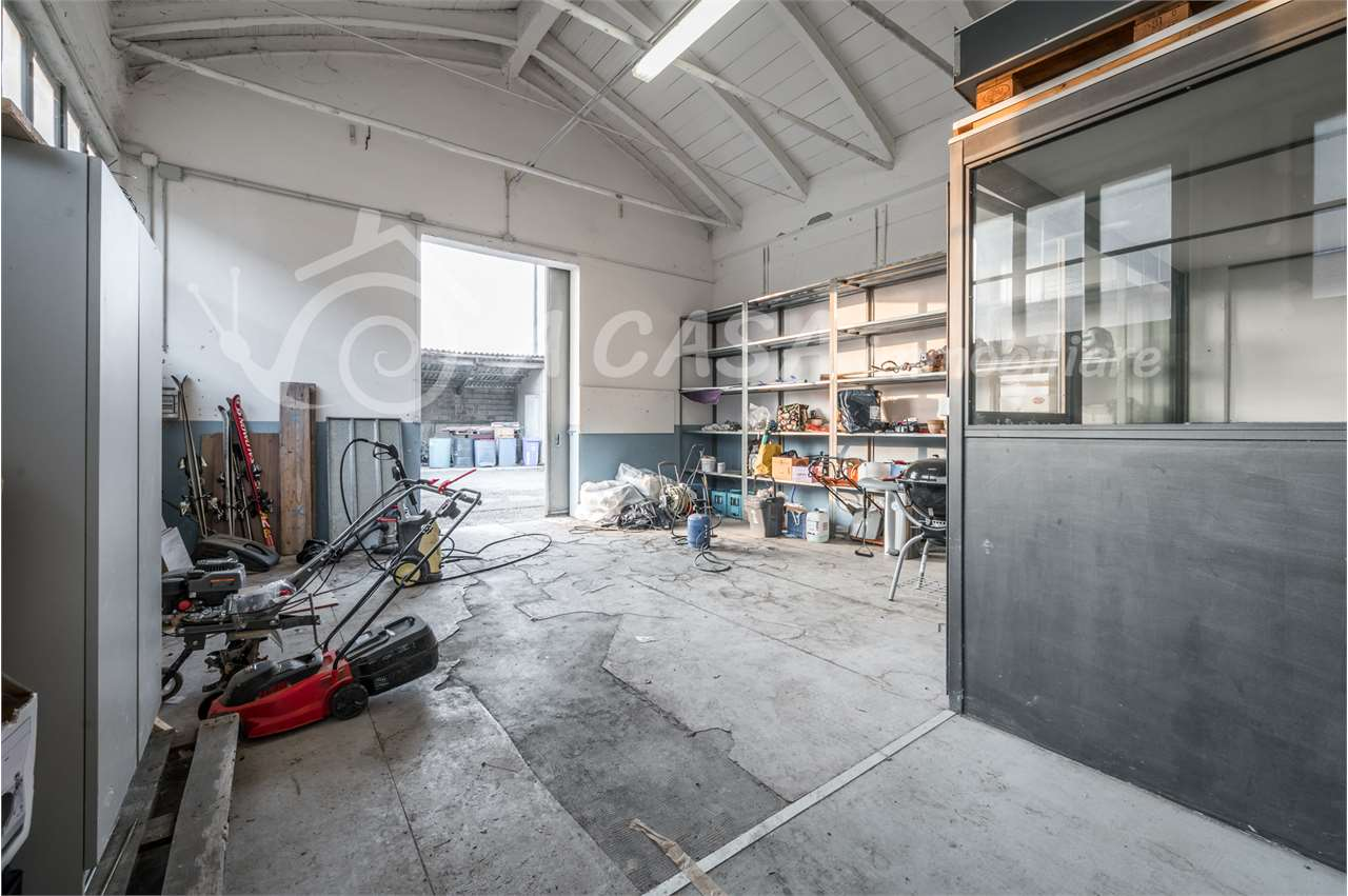 immagine annuncio 1 di 8