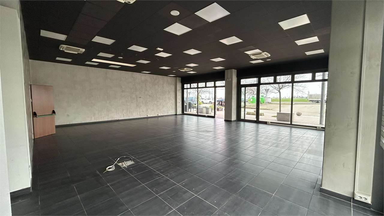 immagine annuncio 3 di 8