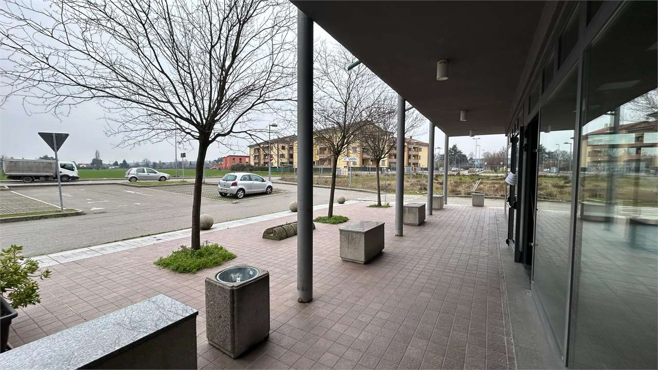 immagine annuncio 5 di 8