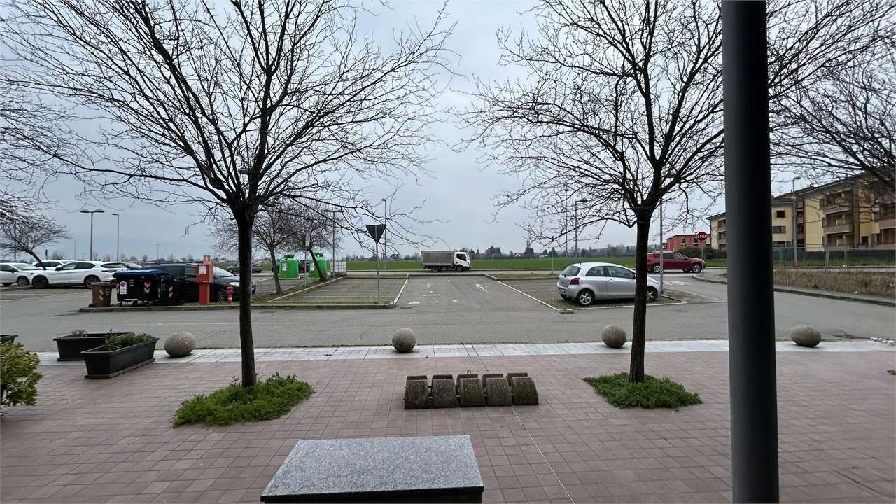 immagine annuncio 6 di 8