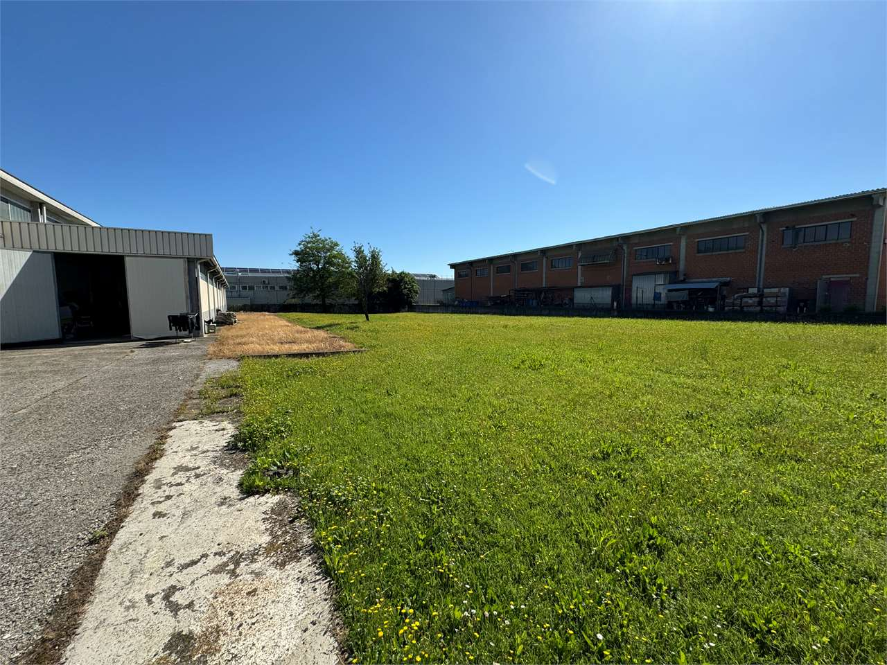 immagine annuncio 6 di 10