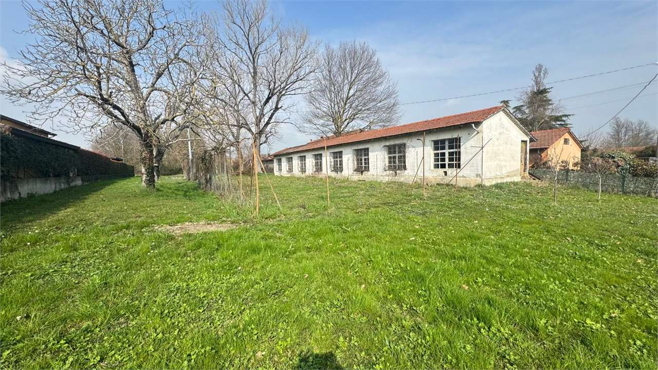 immagine annuncio 3 di 6