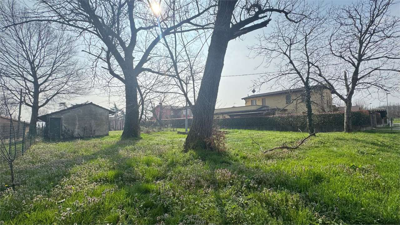 immagine annuncio 1 di 6