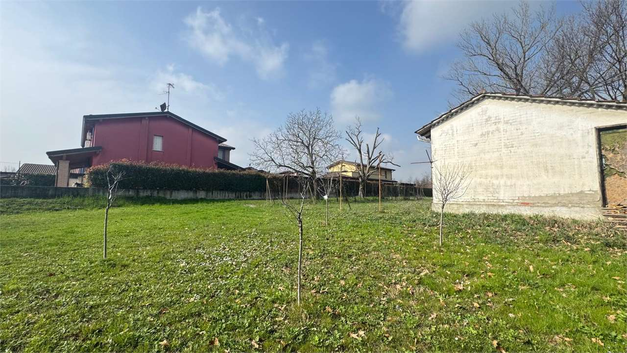 immagine annuncio 2 di 6