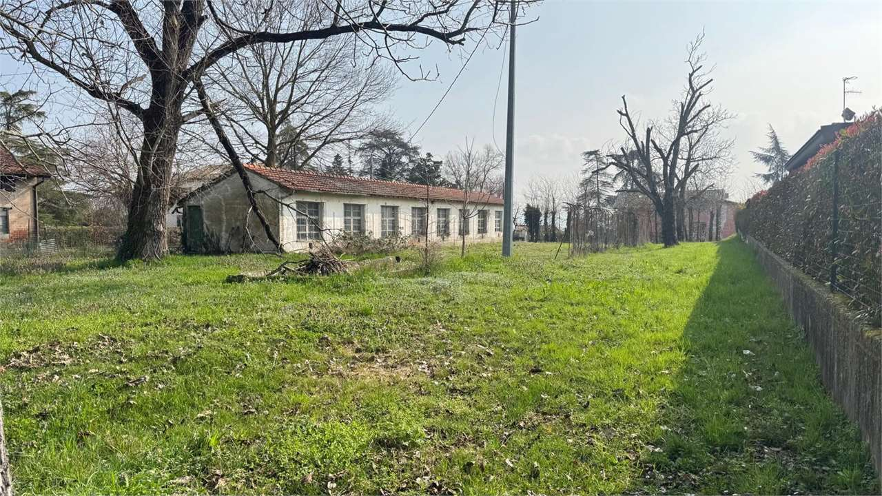 immagine annuncio 3 di 6