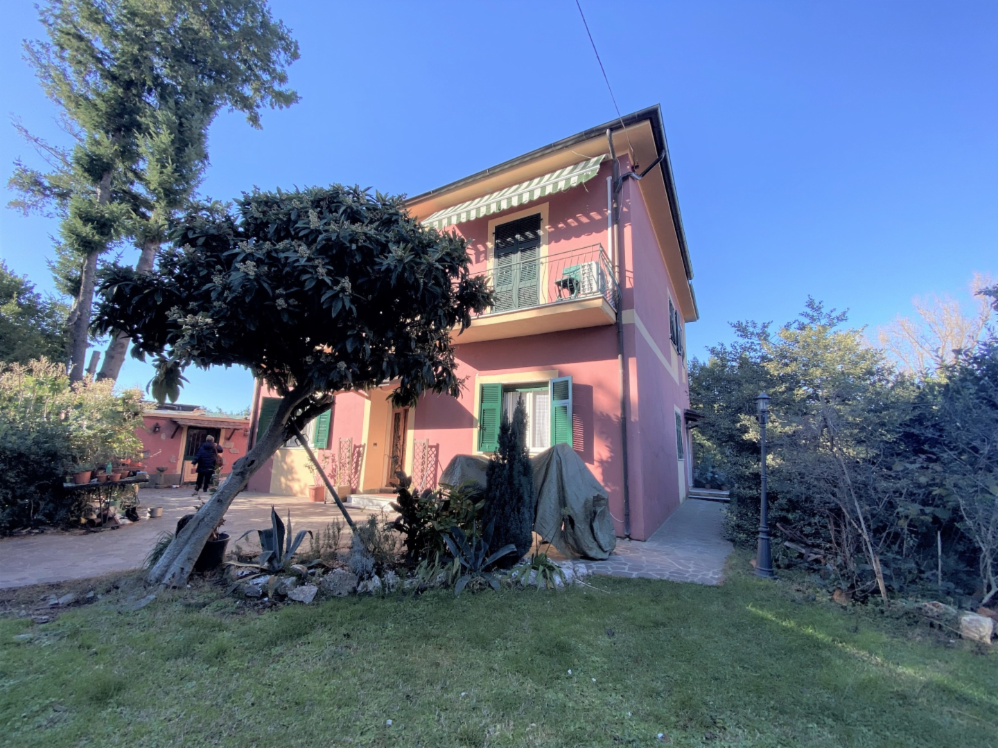 immagine annuncio 1 di 10
