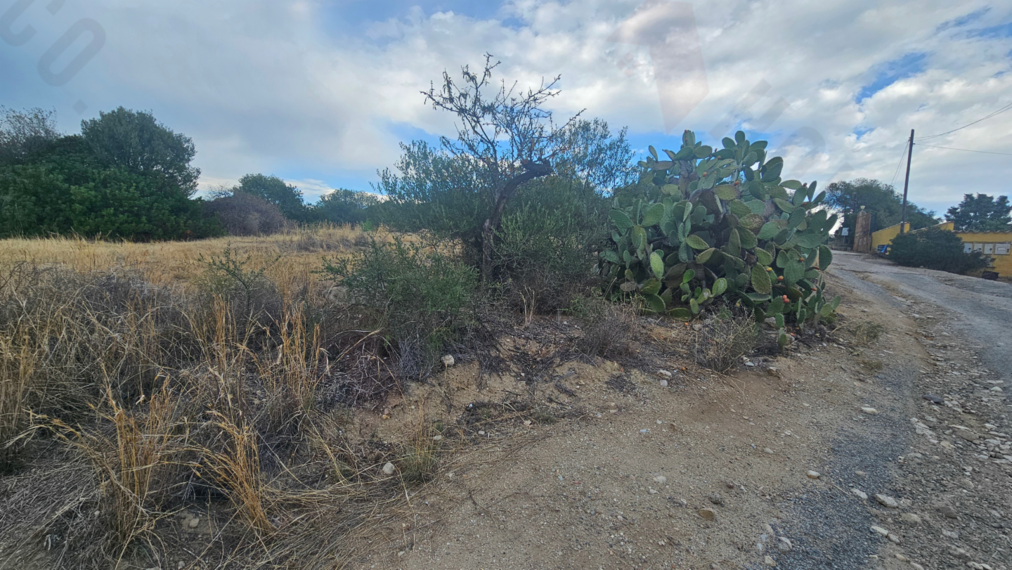 immagine annuncio 5 di 6