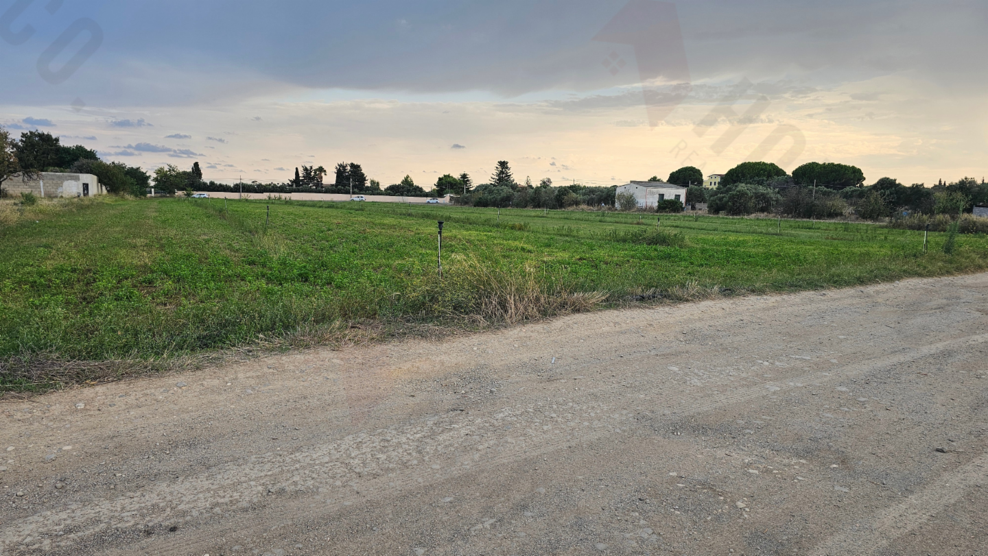 immagine annuncio 4 di 6