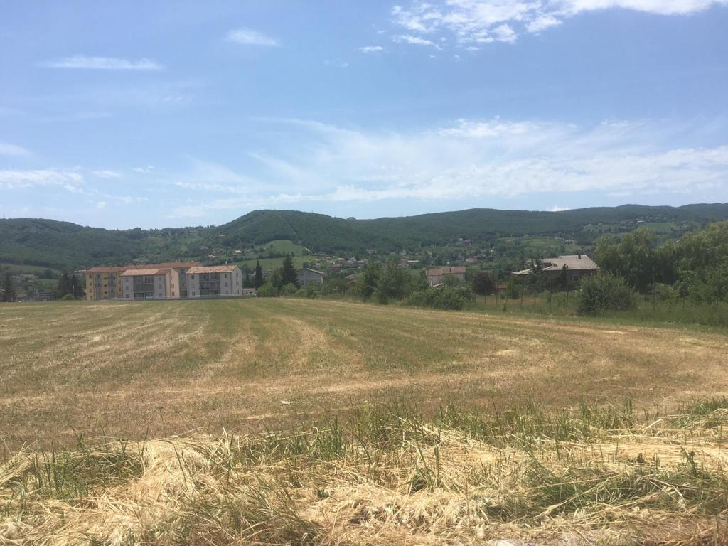 immagine annuncio 1 di 6