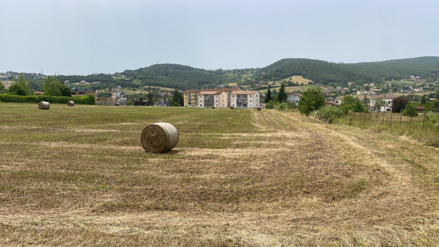 immagine annuncio 5 di 6