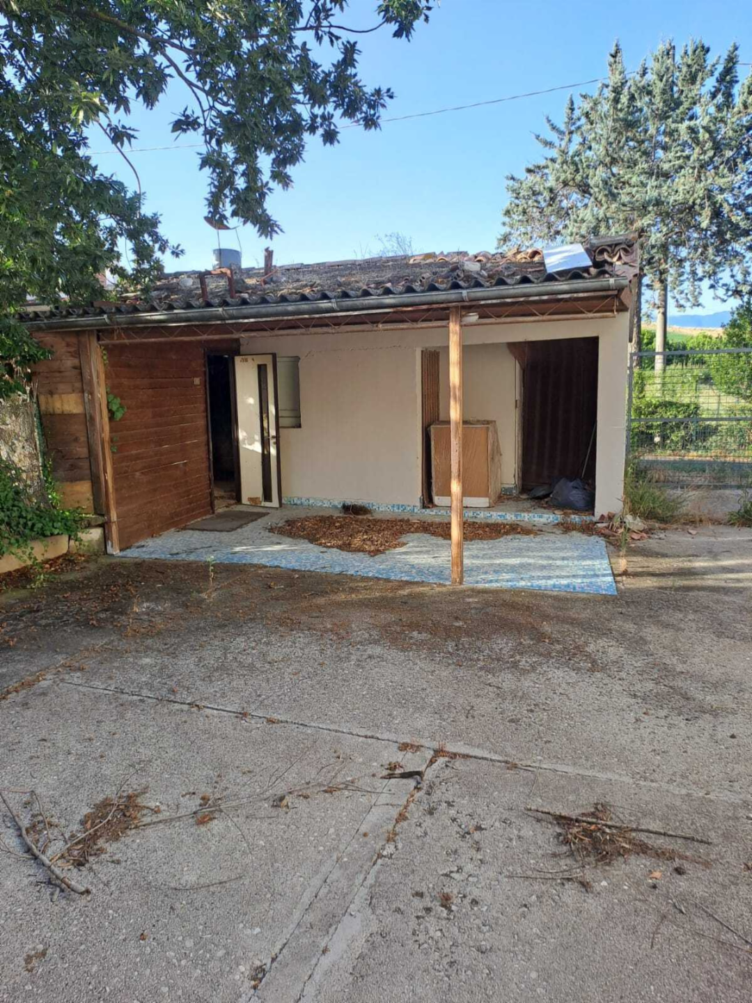 immagine annuncio 2 di 6