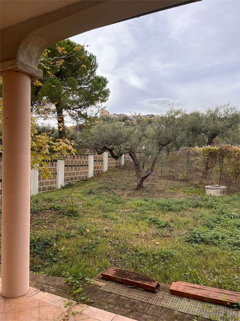 immagine annuncio 2 di 4
