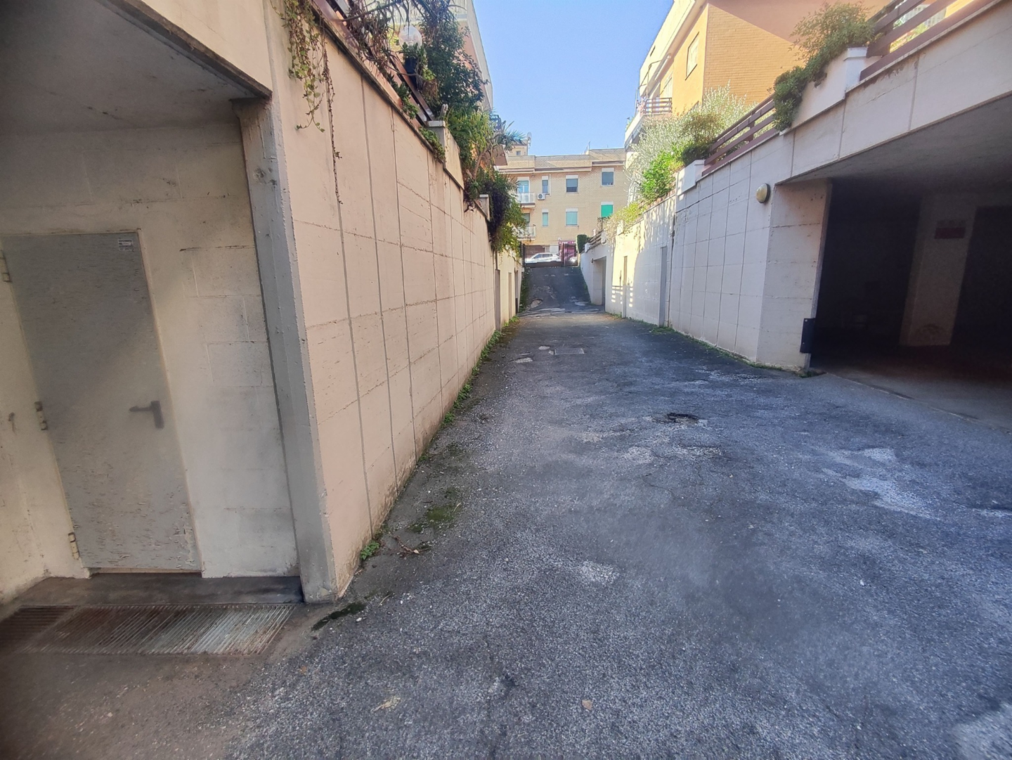 immagine annuncio 1 di 8