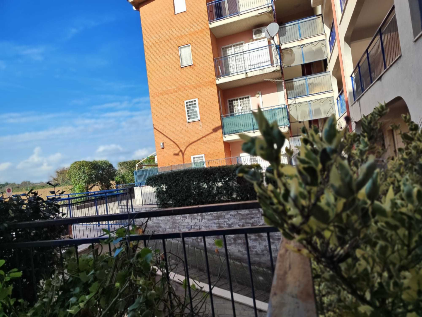immagine annuncio 3 di 10