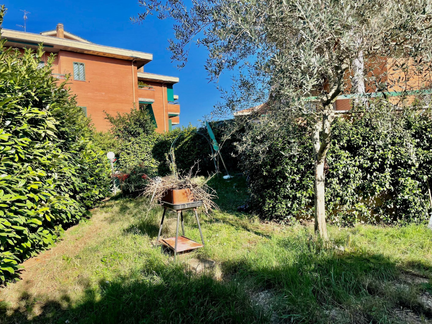 immagine annuncio 1 di 10