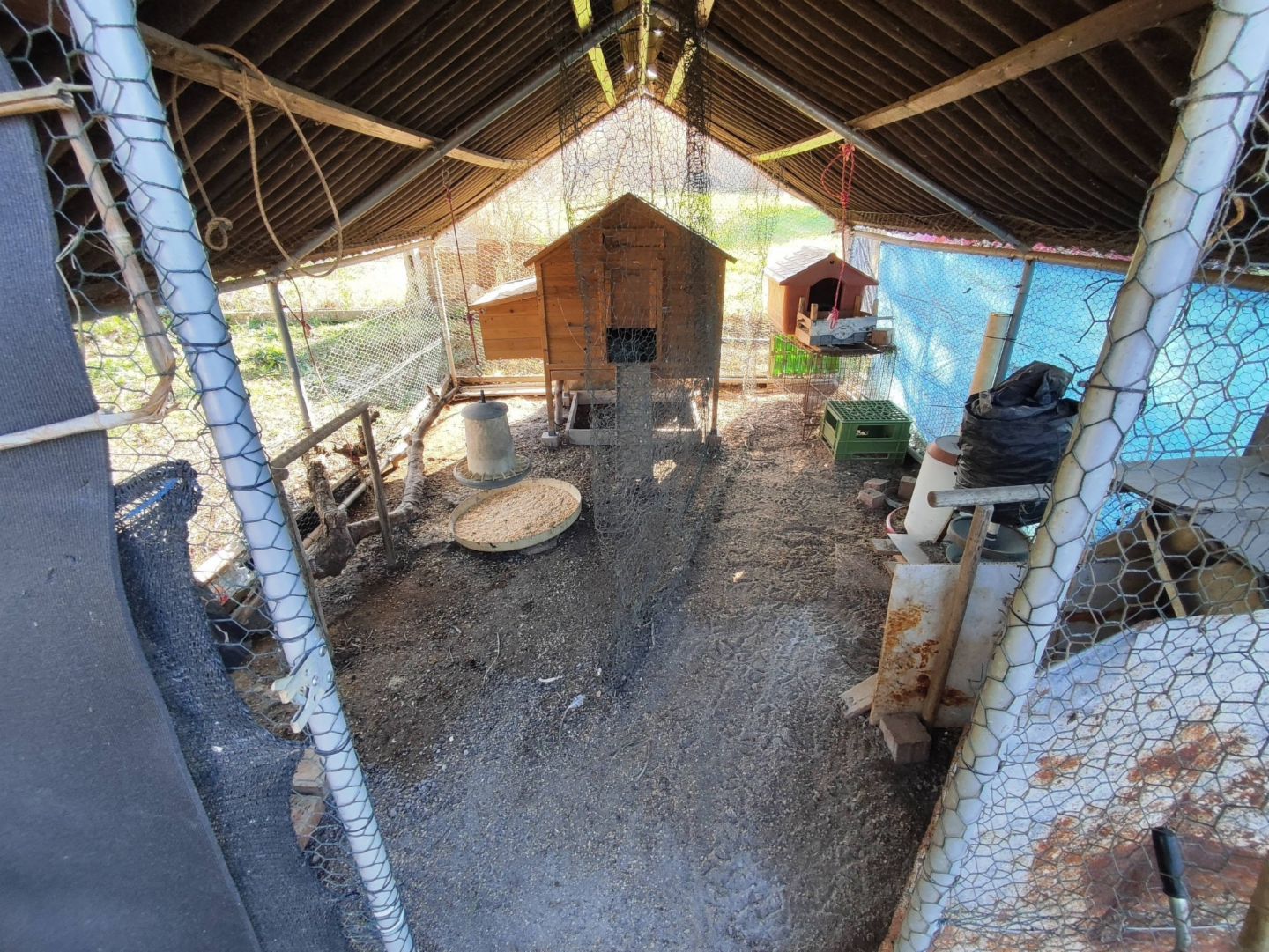 immagine annuncio 5 di 10