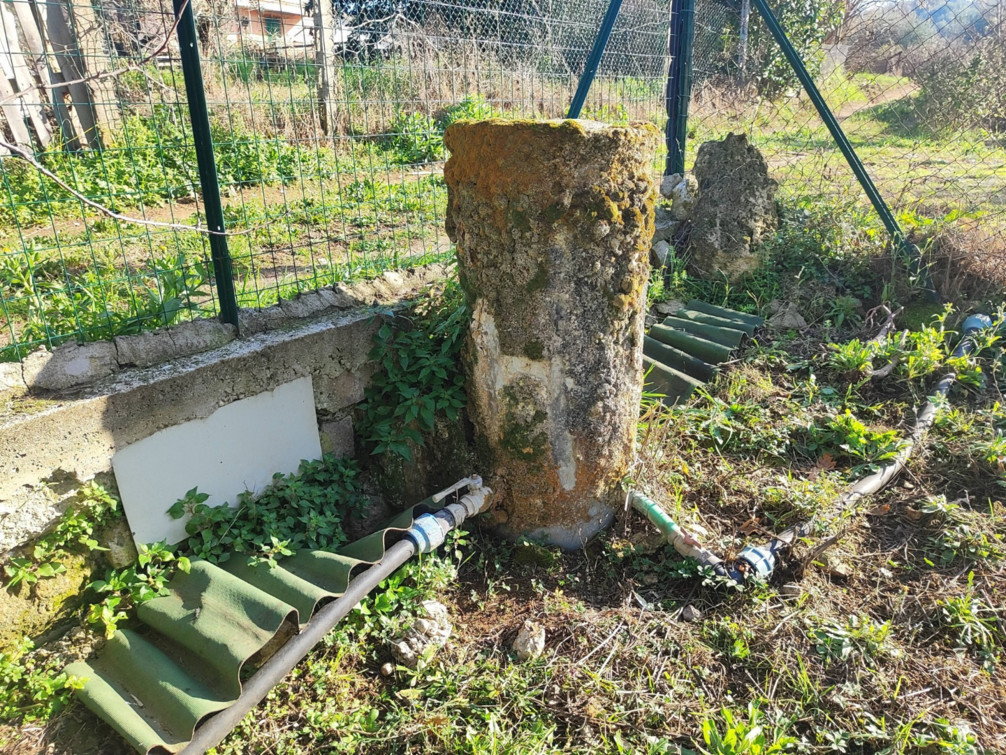 immagine annuncio 2 di 10