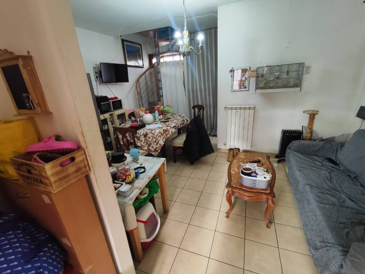 immagine annuncio 5 di 10