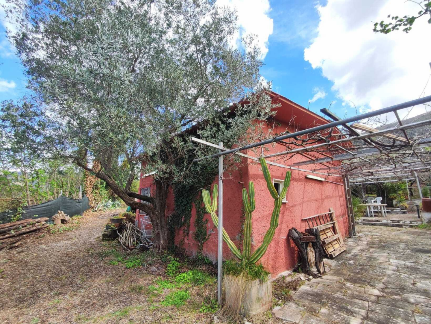 immagine annuncio 1 di 10