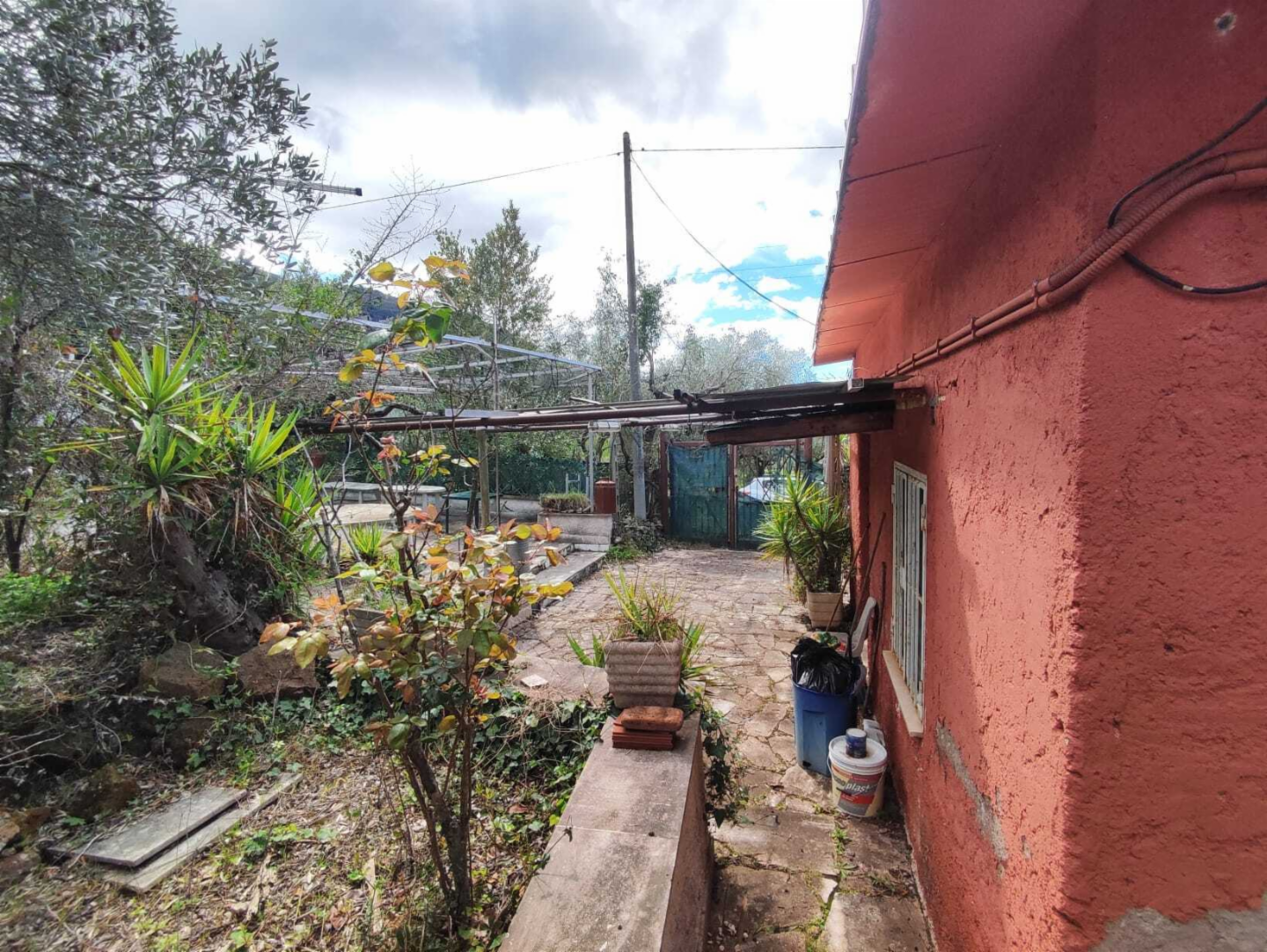 immagine annuncio 2 di 10