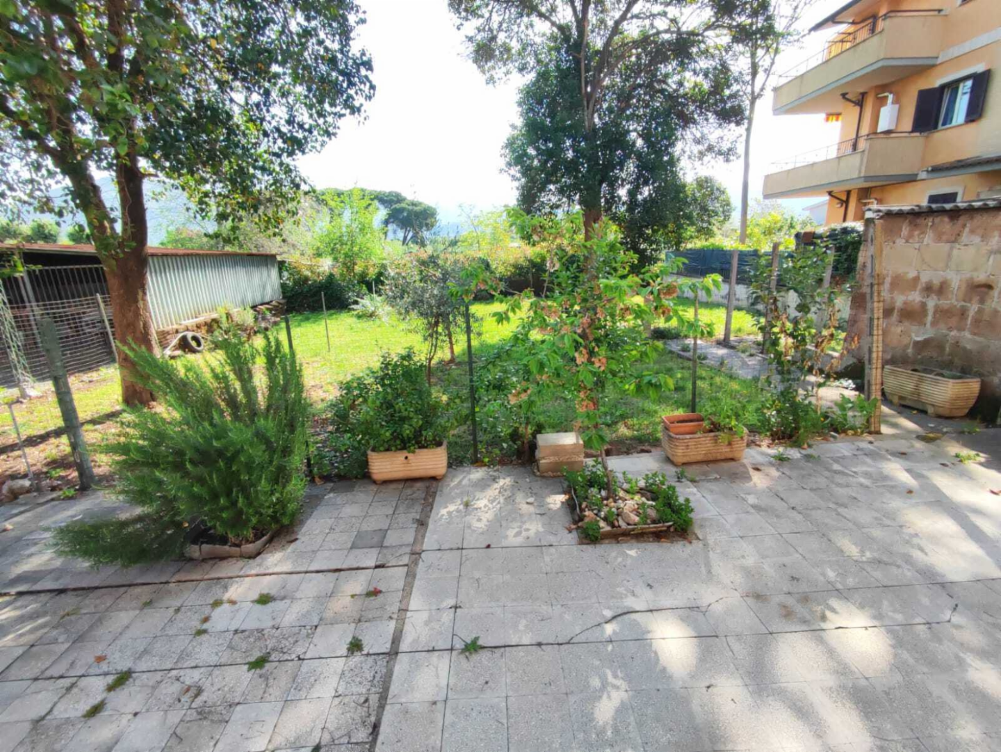 immagine annuncio 4 di 10