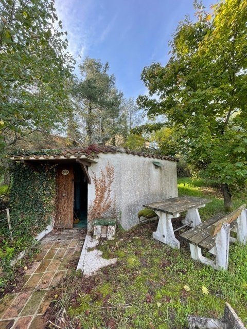 immagine annuncio 2 di 4