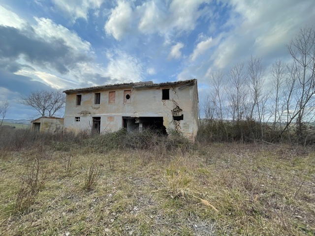 immagine annuncio 1 di 4