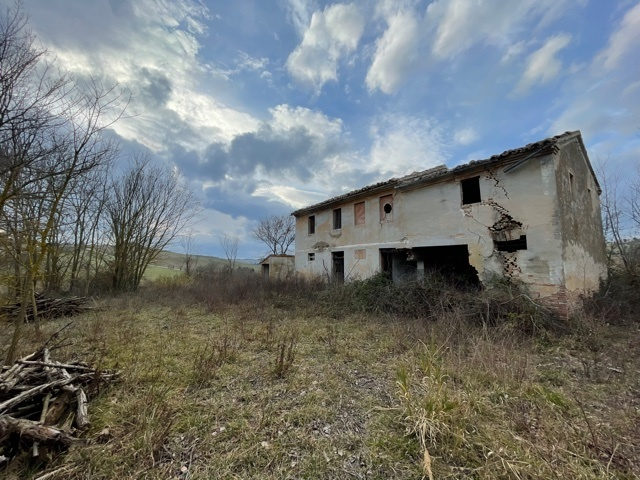 immagine annuncio 2 di 4