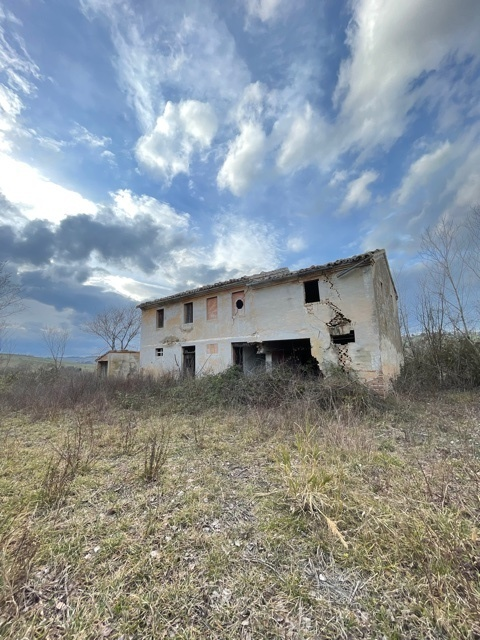 immagine annuncio 3 di 4