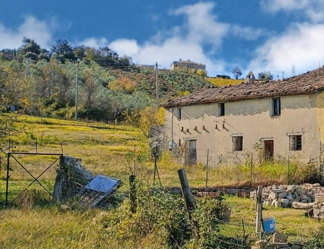 immagine annuncio 4 di 6