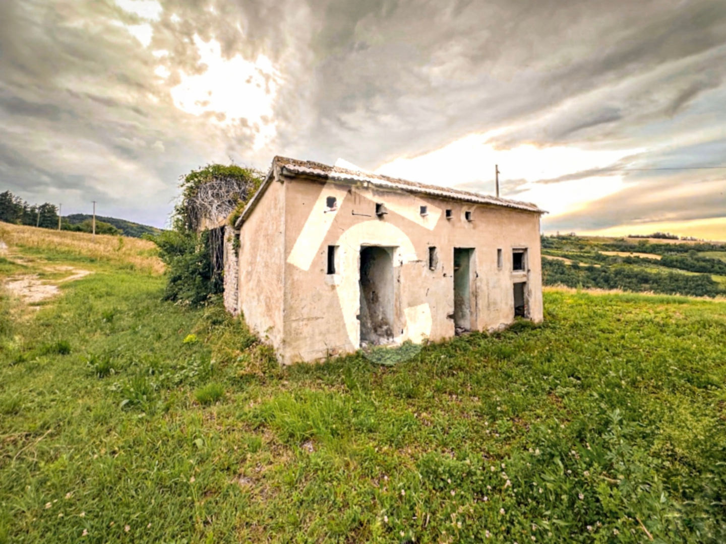 immagine annuncio 1 di 7