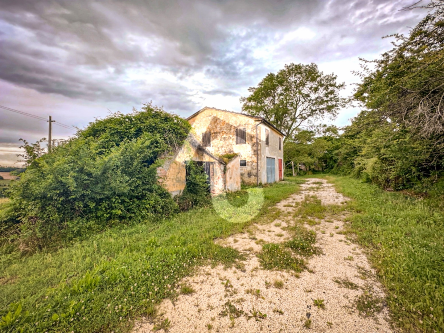 immagine annuncio 3 di 7