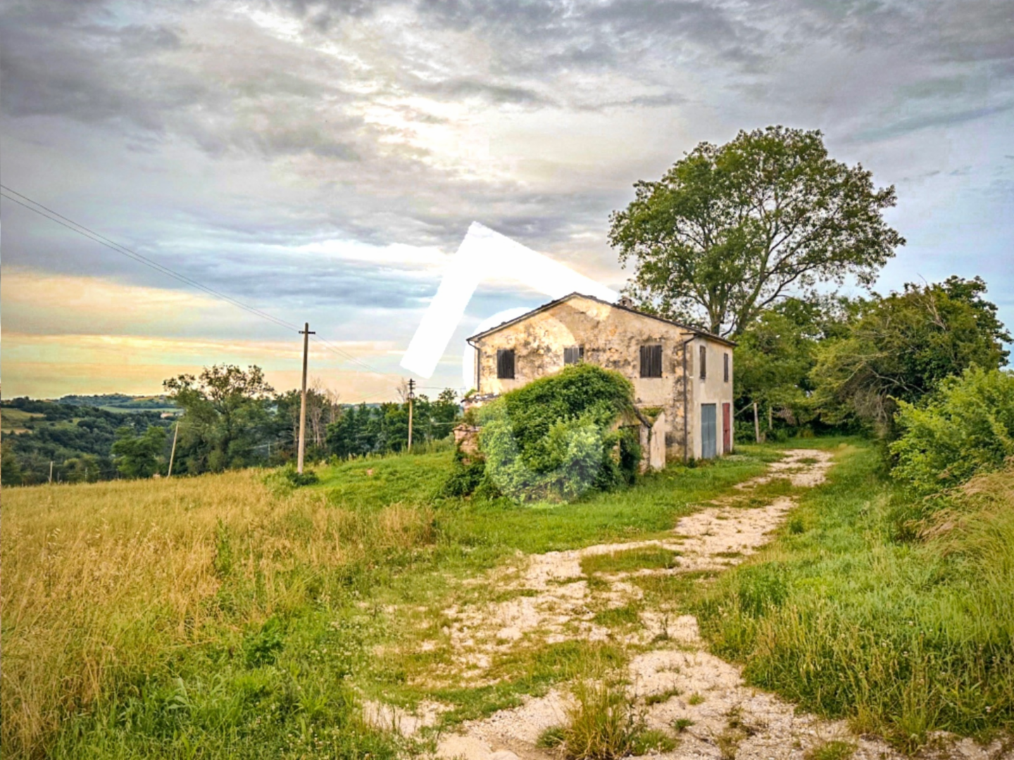 immagine annuncio 6 di 7