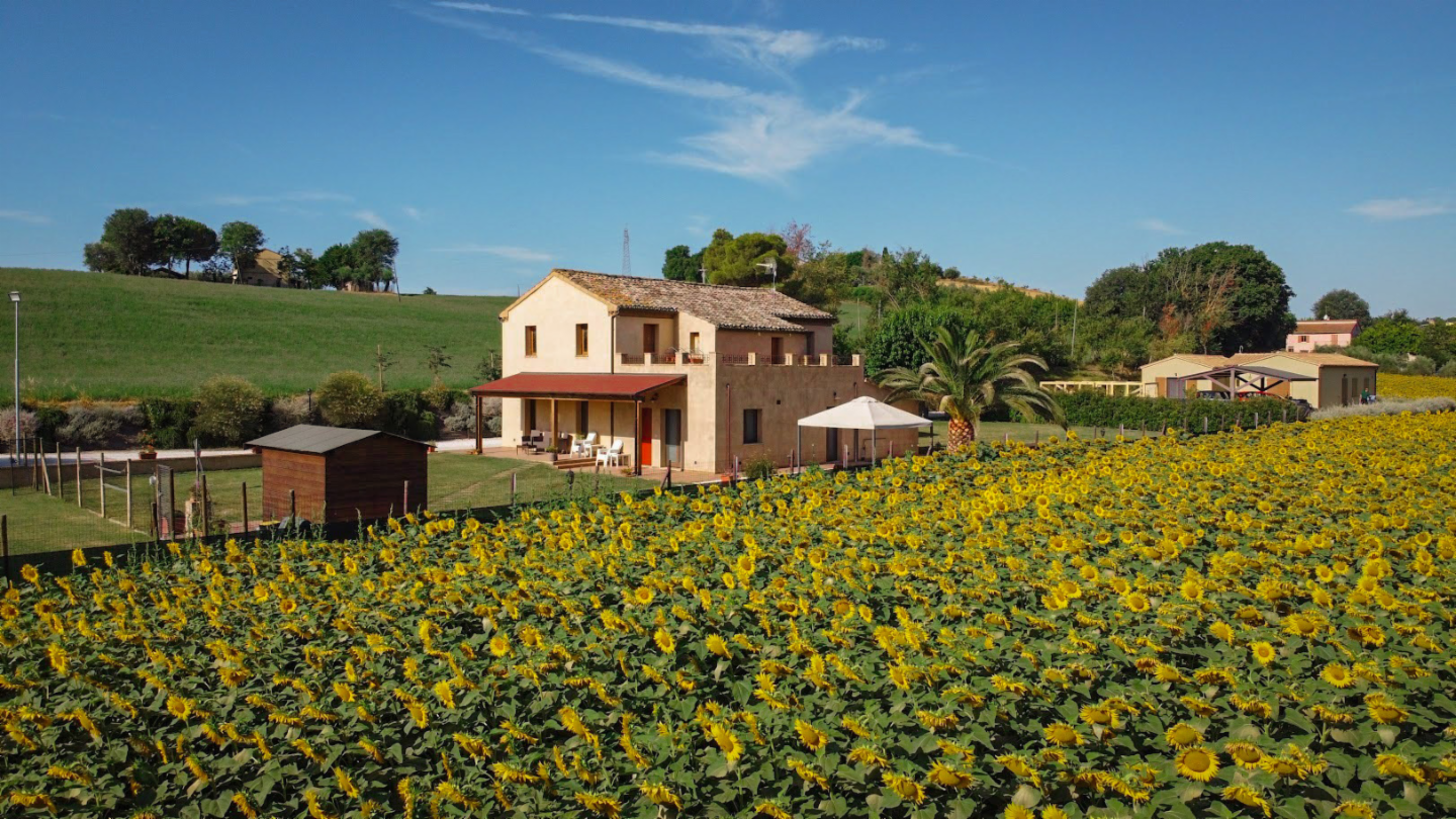 casa indipendente in vendita a Monsano