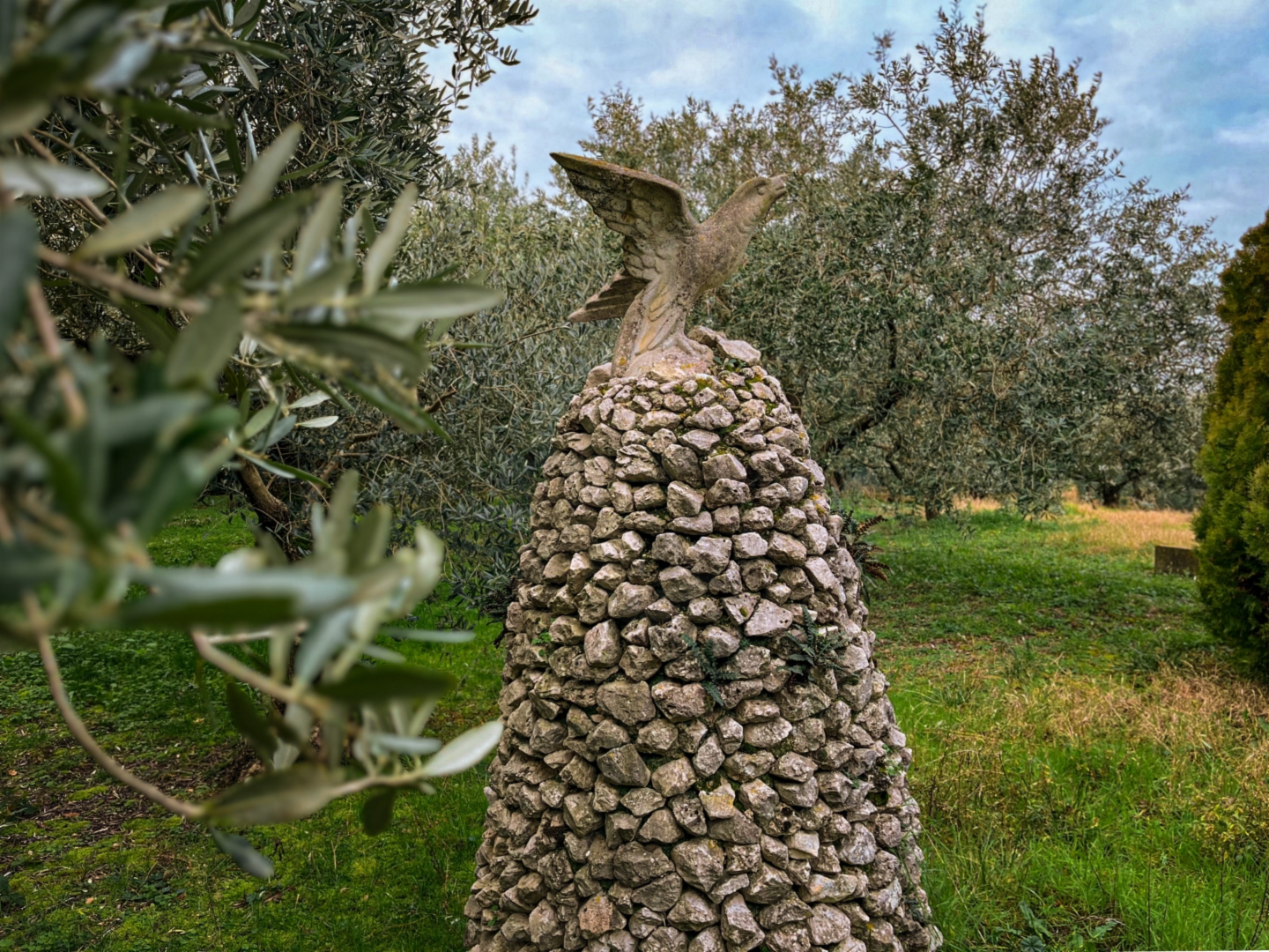 immagine annuncio 2 di 10