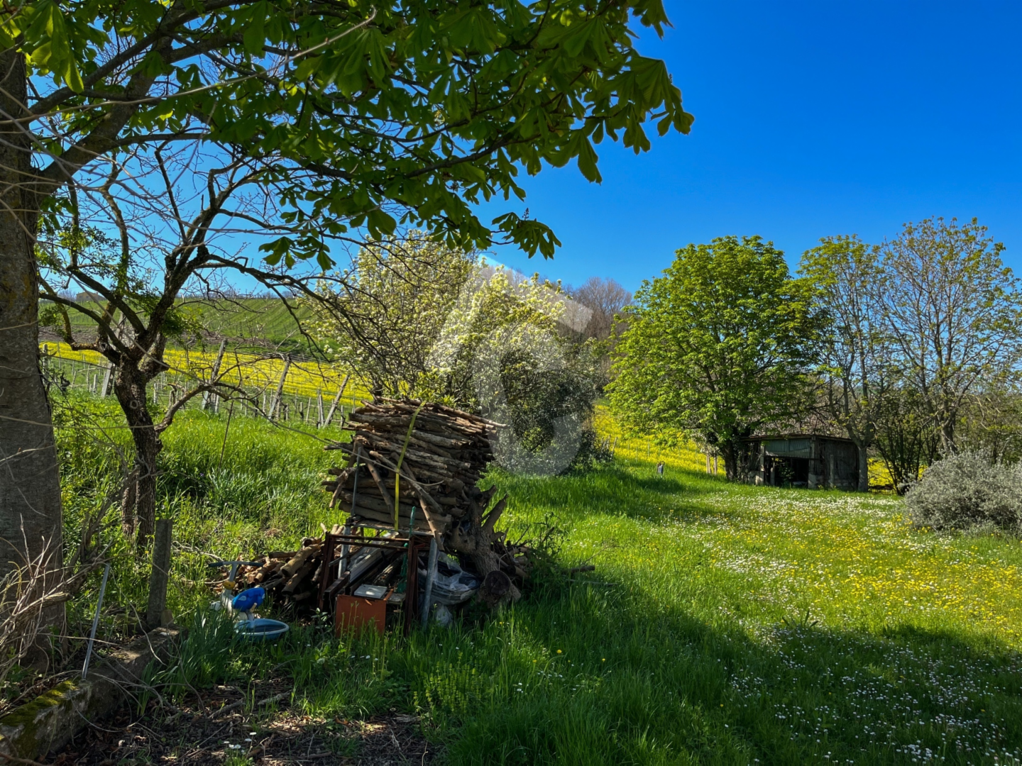 immagine annuncio 7 di 10