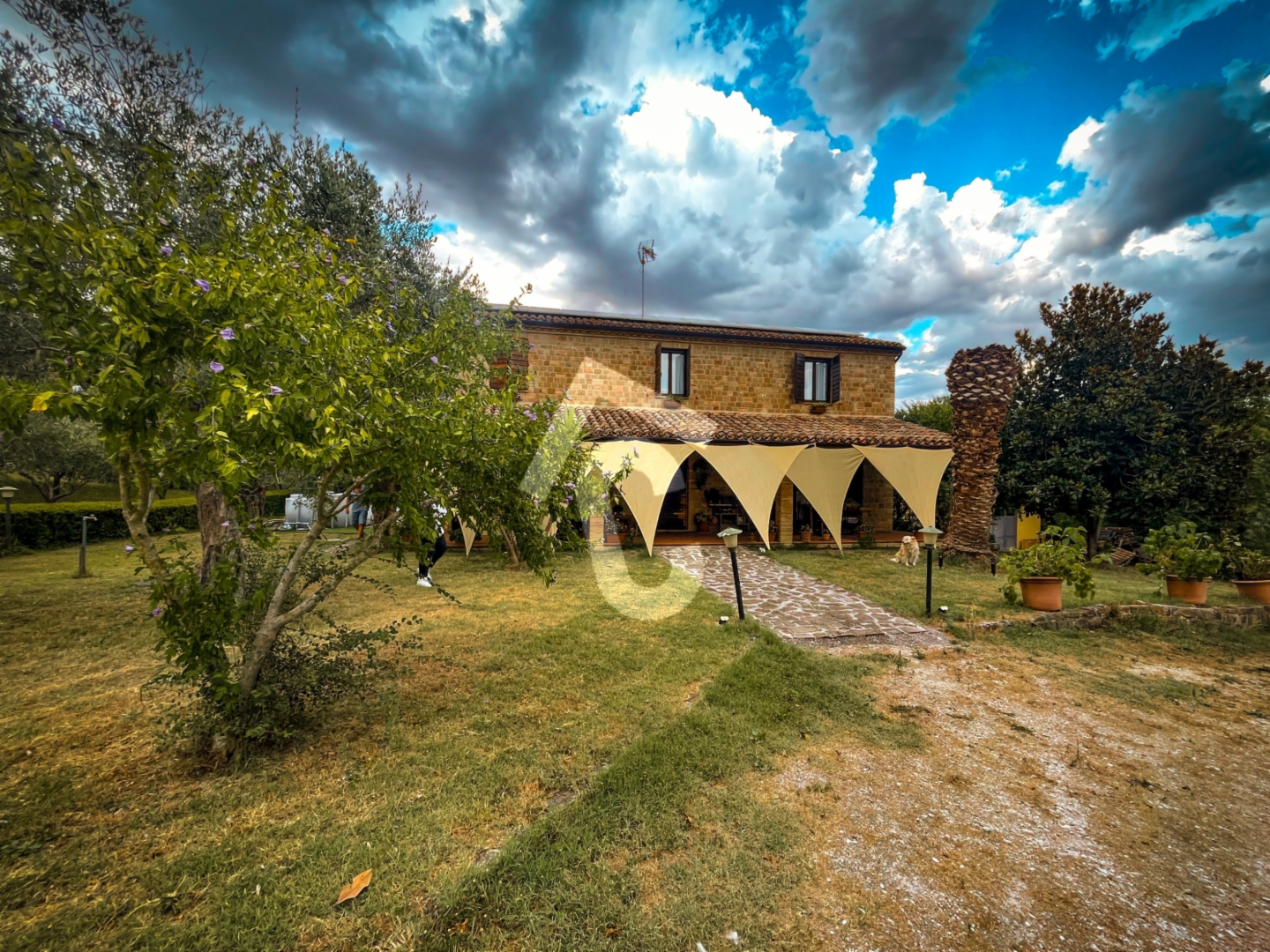 immagine annuncio 2 di 10