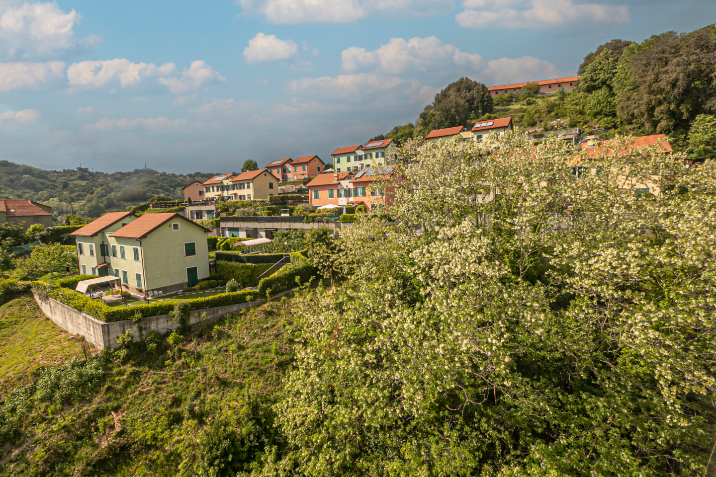 immagine annuncio 2 di 10