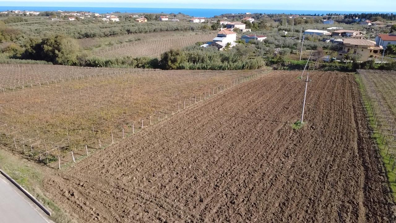 immagine annuncio 2 di 7