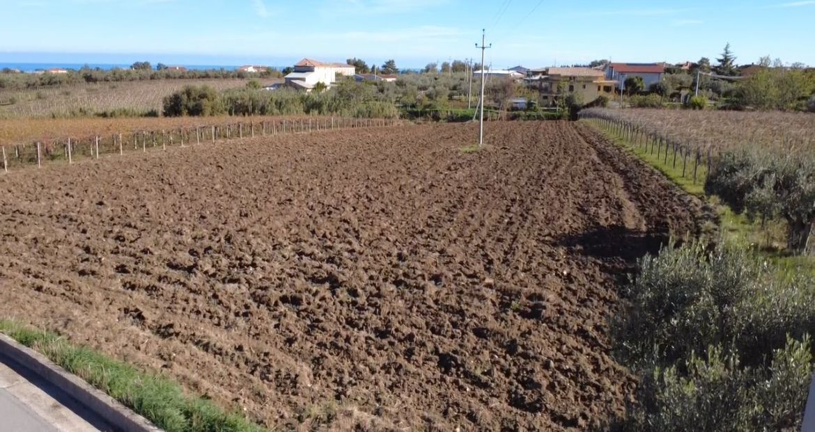 immagine annuncio 4 di 7